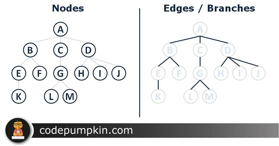 What is the depth of a complete binary tree with n nodes? - Quora