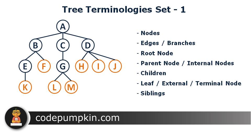 General Tree Definitions and Terminology
