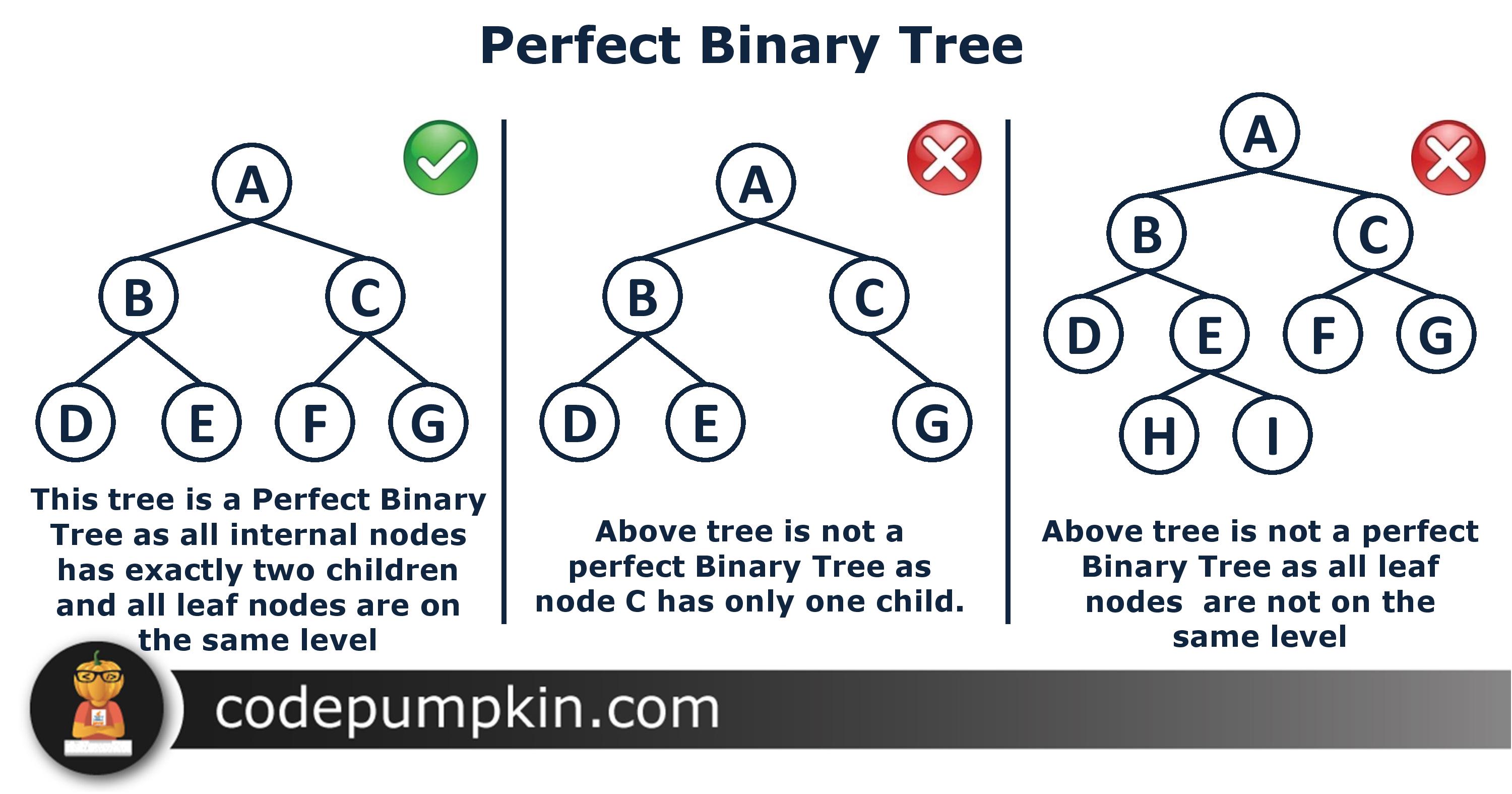 go tour binary tree