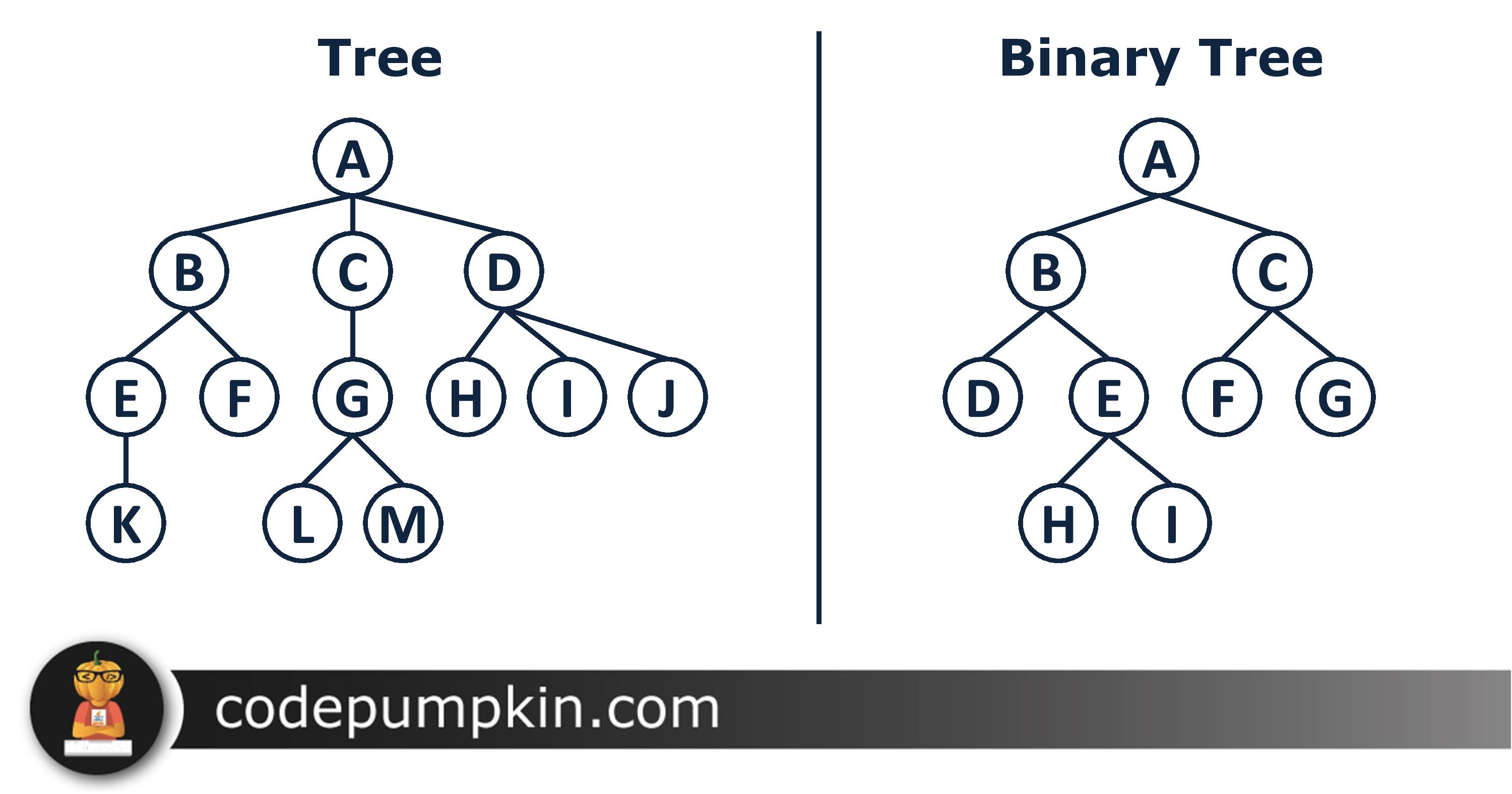Complete Binary Tree Widepna
